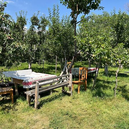 "Bilim" Guest House Tamchy Dış mekan fotoğraf