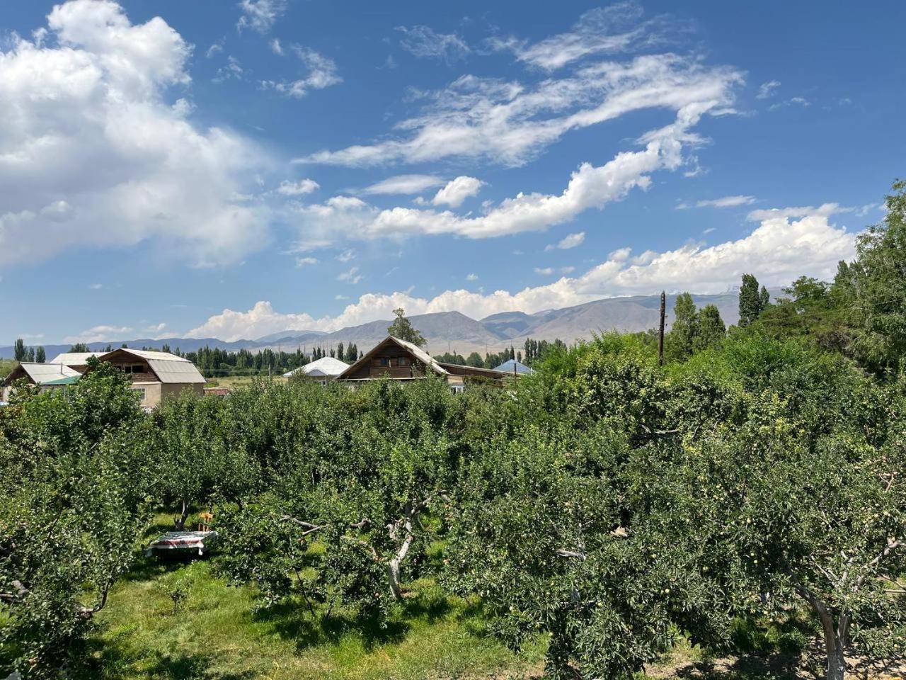 "Bilim" Guest House Tamchy Dış mekan fotoğraf