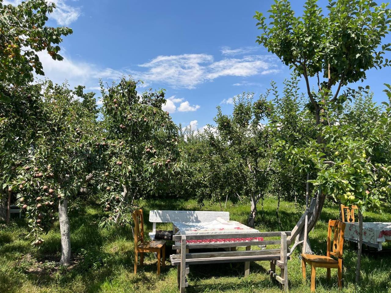 "Bilim" Guest House Tamchy Dış mekan fotoğraf