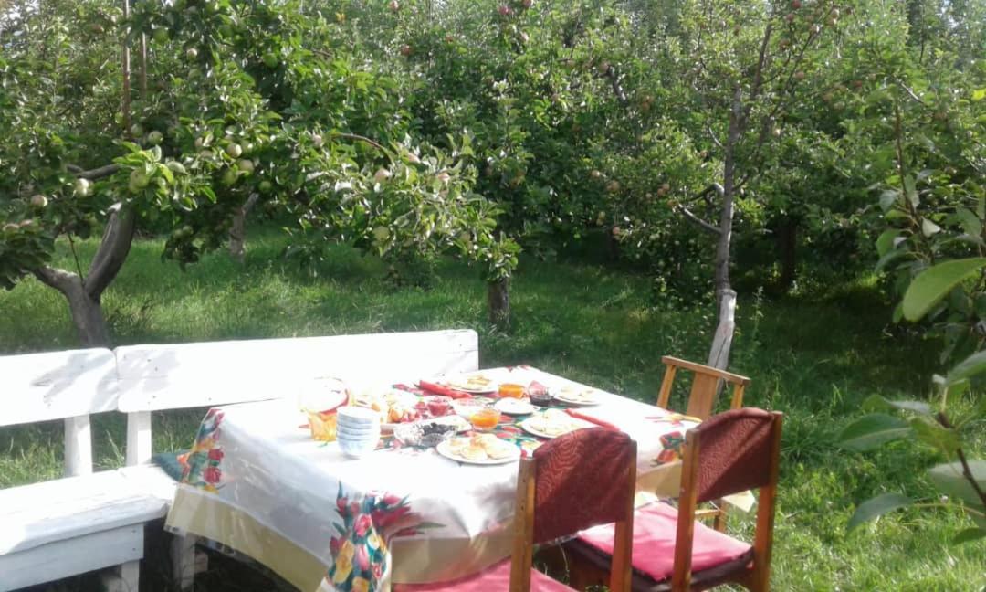 "Bilim" Guest House Tamchy Dış mekan fotoğraf