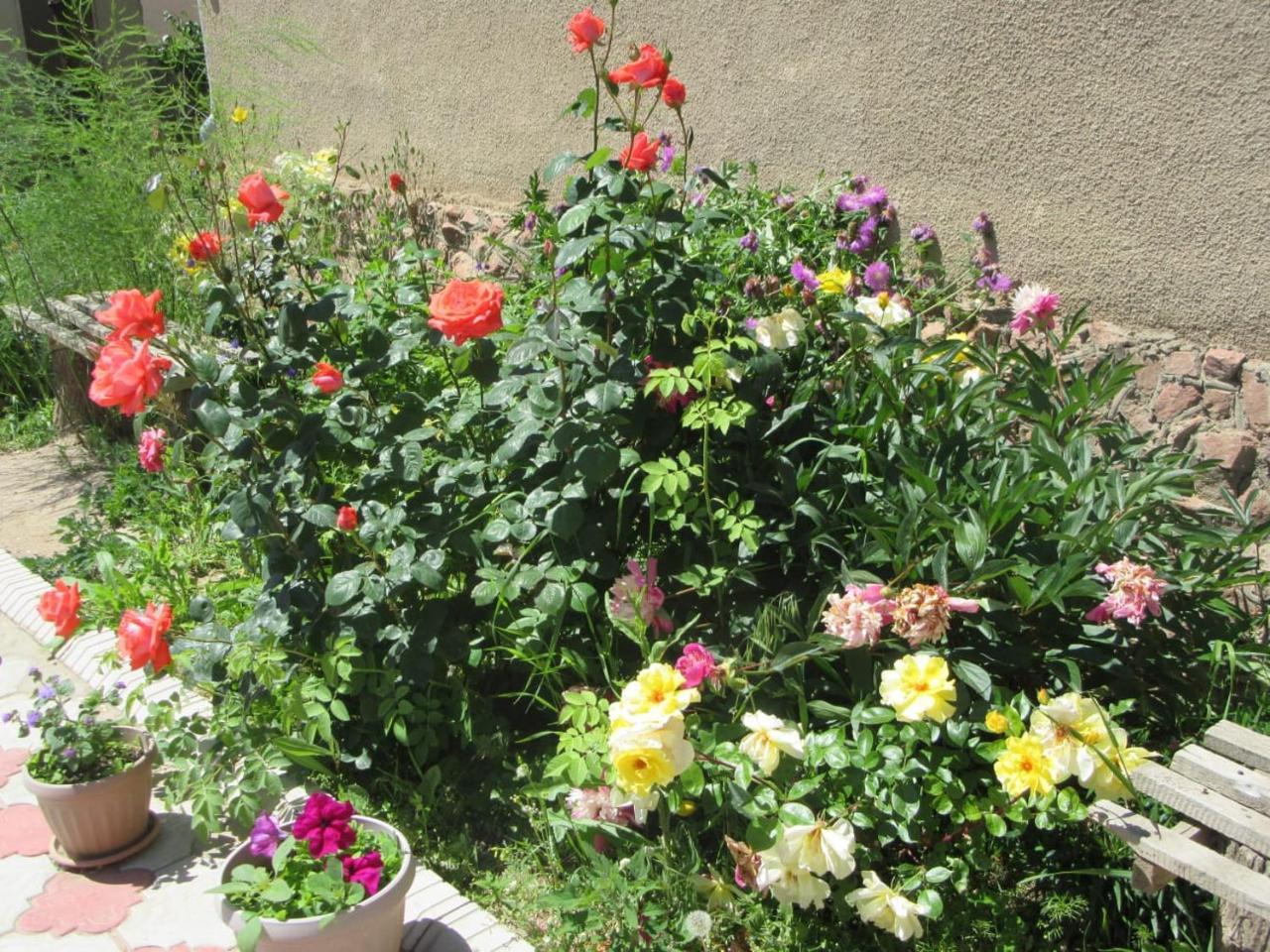 "Bilim" Guest House Tamchy Dış mekan fotoğraf